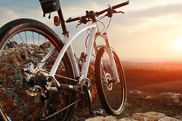 Image showing Bicycle stands on a rock