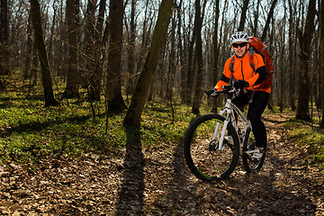 Image showing Mountain biker riding on bike in springforest landscape. 