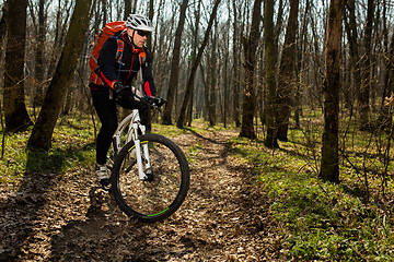 Image showing Mountain biker riding on bike in springforest landscape. 