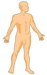 Image showing Human figure