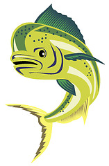 Image showing Dolphin fish
