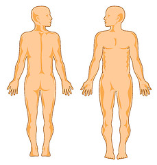 Image showing Human anatomy