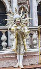 Image showing Disguised Man - Venice Carnival 2014