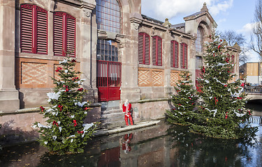 Image showing Christmas Arrangement