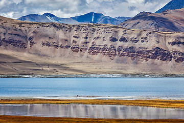 Image showing Mountain lake Tso Kar in Himalayas