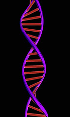 Image showing DNA structure model