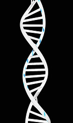 Image showing DNA structure model