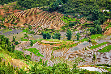 Image showing Rice field terraces. Near Sapa, Mui Ne