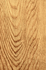 Image showing Structure of wooden board