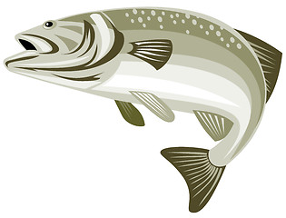 Image showing Spotted bass