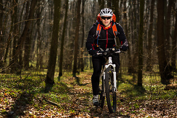 Image showing Mountain biker riding on bike in springforest landscape. 