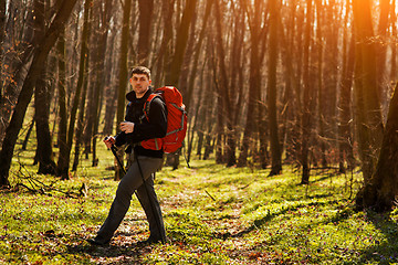 Image showing Active healthy man hiking in beautiful forest