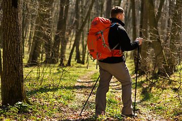 Image showing Active healthy man hiking in beautiful forest