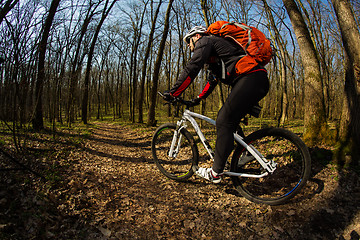 Image showing Cyclist Riding the Bike