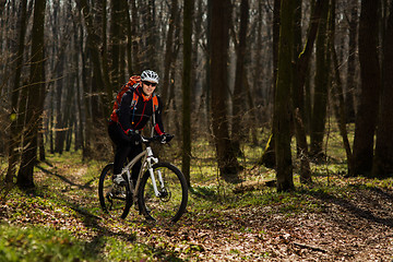 Image showing Mountain biker riding on bike in springforest landscape. 