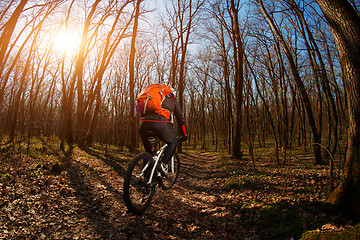 Image showing Cyclist Riding the Bike