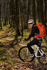 Image showing Mountain biker riding on bike in springforest landscape. 