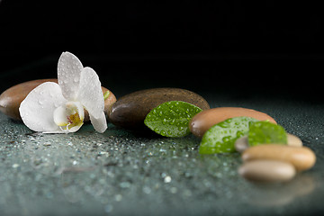 Image showing zen stones with orchid flower on black