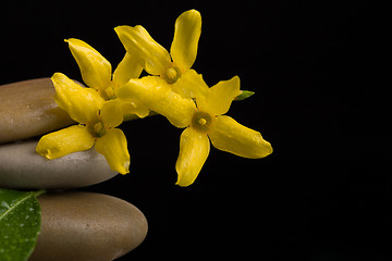 Image showing balancing zen stones on black with yellow flower