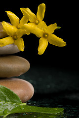 Image showing balancing zen stones on black with yellow flower