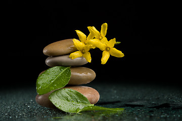 Image showing balancing zen stones on black with yellow flower