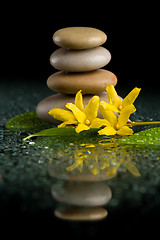 Image showing balancing zen stones on black with yellow flower