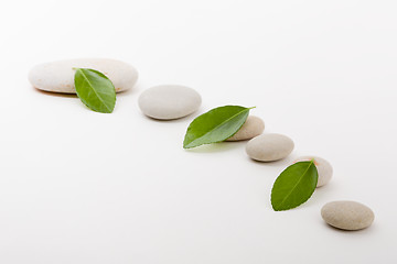 Image showing zen stones and green leaf