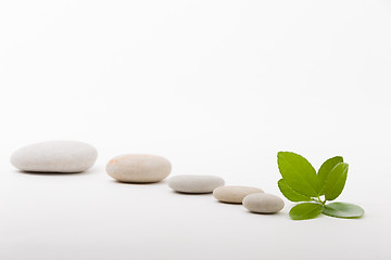 Image showing zen stones and green leaf