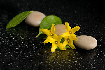 Image showing pebbles and yellow flower on black with water drops