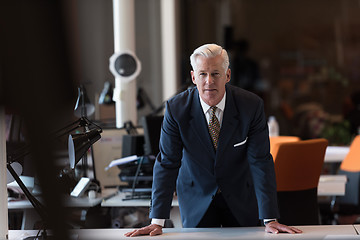 Image showing portrait of handsome senior business man at modern office