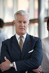 Image showing portrait of handsome senior business man at modern office