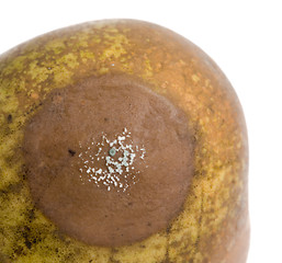 Image showing Close up of a pear with white area of fungus growing on it, sele