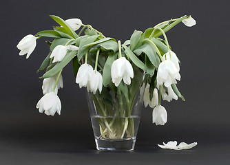 Image showing Vase full of droopy and dead flowers