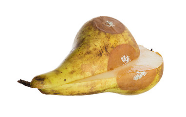 Image showing Close up of a pear with white area of fungus growing on it, sele