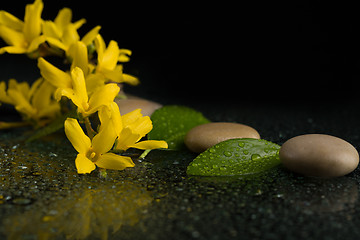 Image showing pebbles and yellow flower on black with water drops