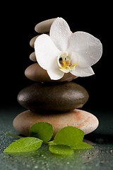 Image showing balancing zen stones on black with white flower