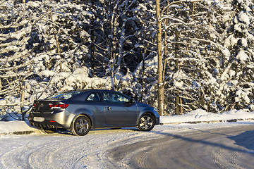 Image showing Coup car in winter pine forest