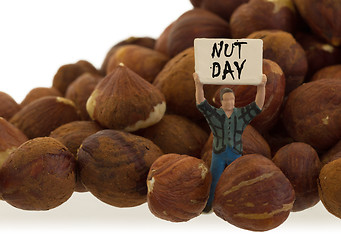 Image showing Miniature worker working with hazelnuts