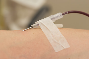 Image showing Donor in an armchair donates blood,, close-up