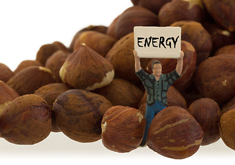 Image showing Miniature worker working with hazelnuts