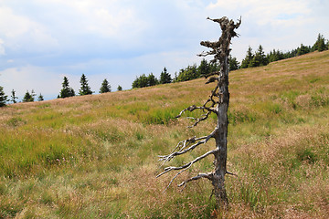 Image showing jeseniky mountains nature