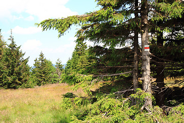 Image showing jeseniky mountains nature