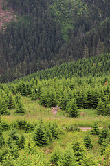 Image showing jeseniky mountains nature