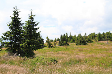 Image showing jeseniky mountains nature