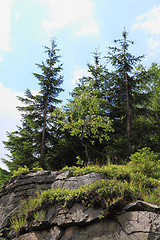 Image showing jeseniky mountains nature