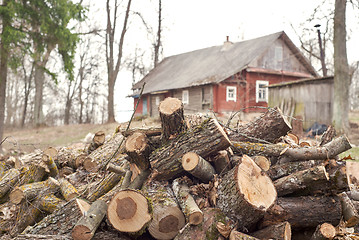 Image showing Heap of chopped logs