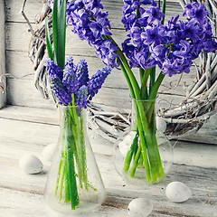 Image showing Still life with hyacinths