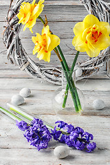 Image showing Still life with hyacinths