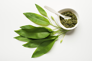 Image showing Wild garlic