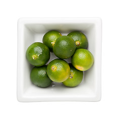 Image showing Calamondin